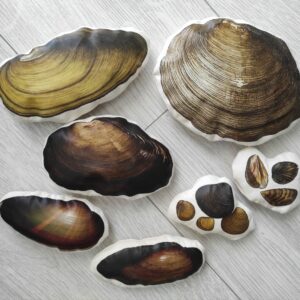 Zestaw maskotek edukacyjnych - małże wód słodkich