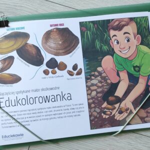 Edukolorowanka - małże wód słodkich