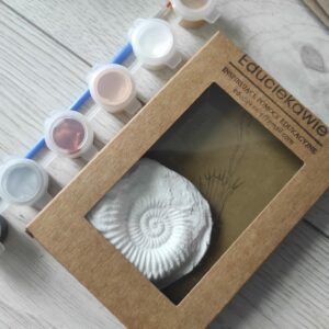 Zestaw do malowania "skamieniałość"