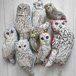 Sowa edukacyjna  - zestaw