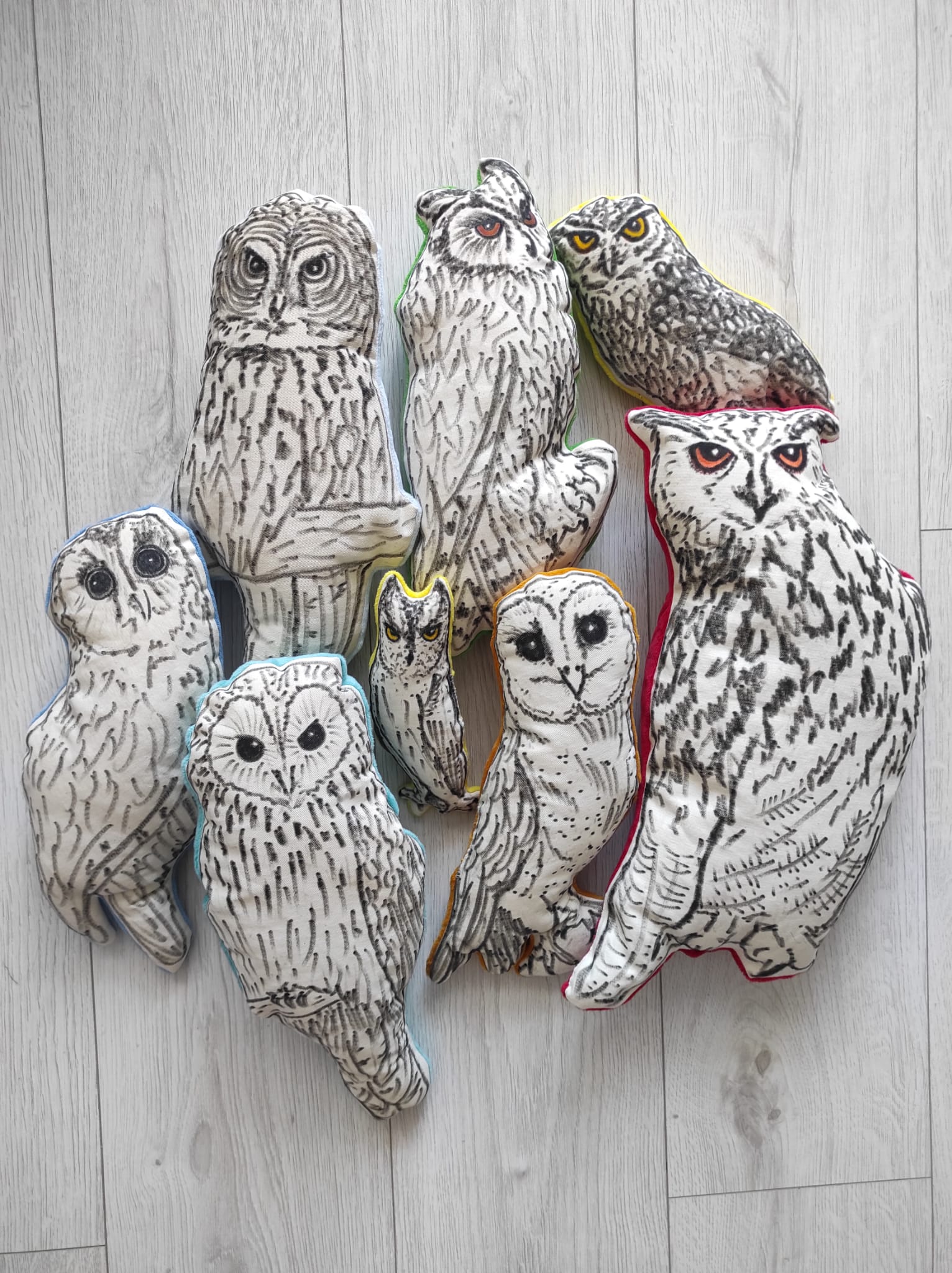 Sowa edukacyjna - zestaw