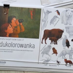 Edukolorowanka – zwierzęta z lasu (część 2)