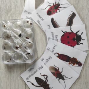 Zwierzęta z podwórka - zestaw preparatów