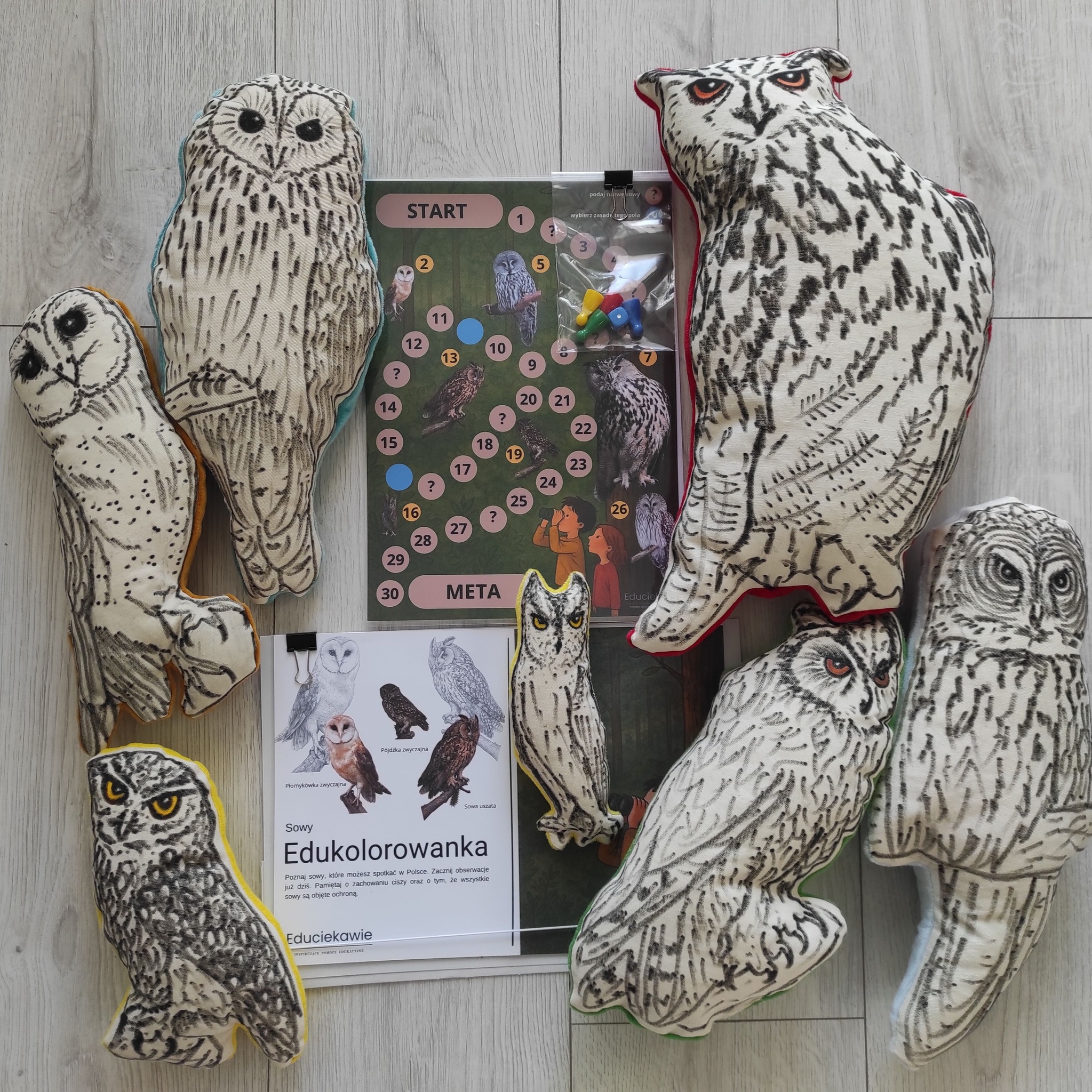 PDF Edukolorowanka sowy - obrazek 3