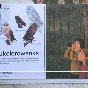 Edukolorowanka - sowy