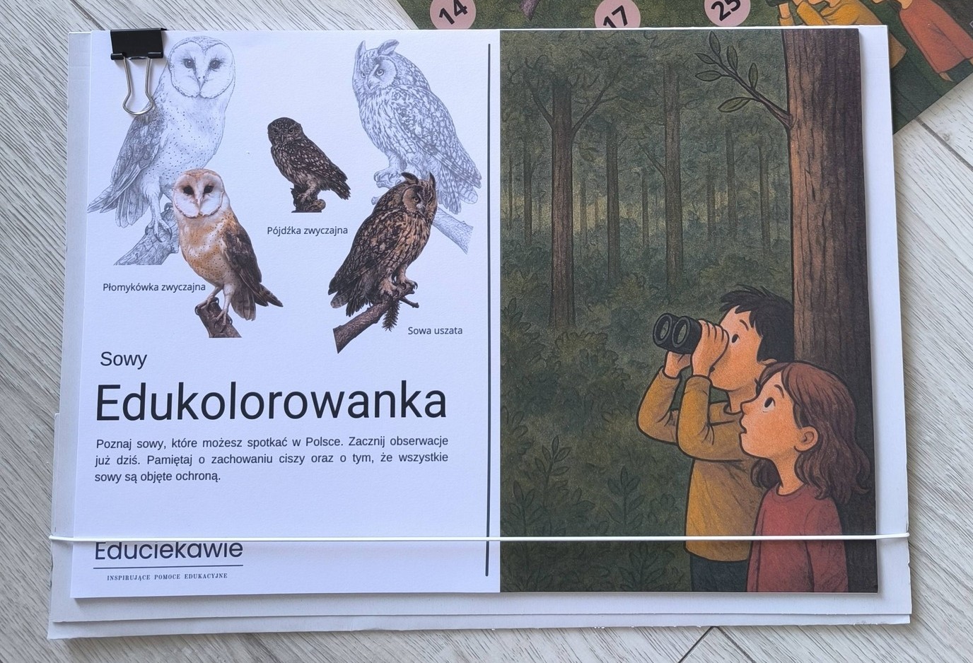 PDF Edukolorowanka sowy