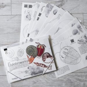 Edukolorowanka - paleo ( papier 300gram)