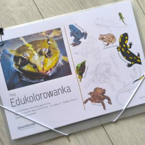 EDUKOLOROWANKA - płazy
