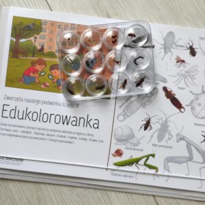 Edukolorowanka - zwierzęta z podwórka (część 1)